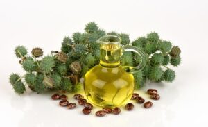خواص روغن کرچک