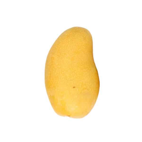 خرید انبه پاکستانی
