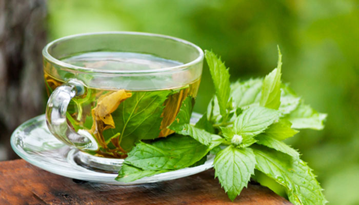 خواص بادرنجبویه