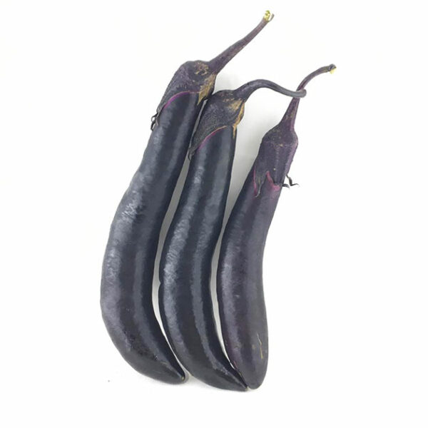 خرید آنلاین بادمجان ژاپنی