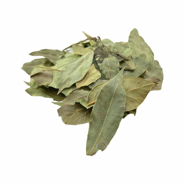 برگ بو