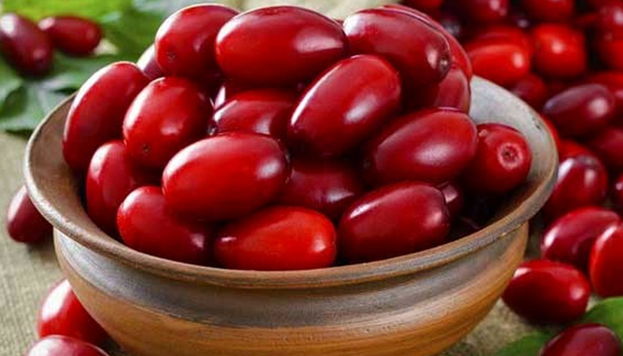 زغال اخته