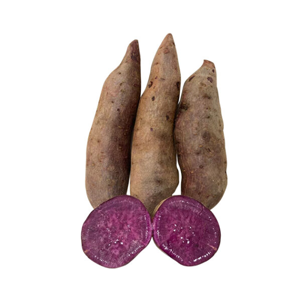 سیب زمینی شیرین