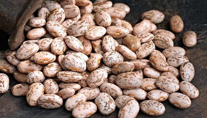 لوبیا چیتی