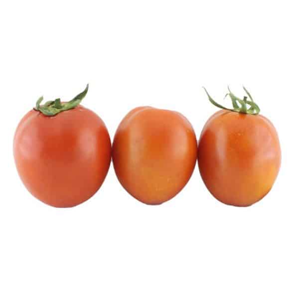 خرید گوجه فرنگی آنلاین